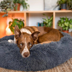 Round Faux Fur Pet Bed - Mounteen. Worldwide shipping available.