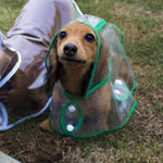 Transparent Dog Raincoat - Mounteen. Worldwide shipping available.