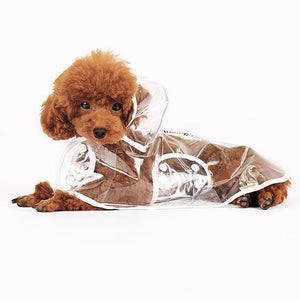 Transparent Dog Raincoat - Mounteen. Worldwide shipping available.