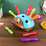 Multi-Skills Hedgehog Toy. Shop Educational Toys on Mounteen. Worldwide shipping available.