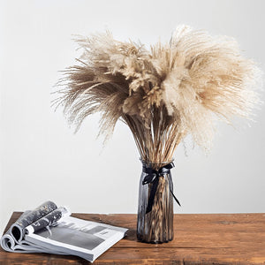 Natural Fluffy Dried Pampas Grass – 50 Steams. Shop Dried Flowers on Mounteen. Worldwide shipping available.
