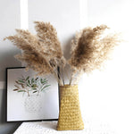 Natural Fluffy Dried Pampas Grass – 50 Steams. Shop Dried Flowers on Mounteen. Worldwide shipping available.