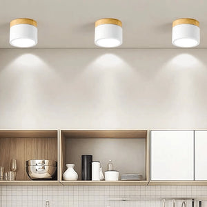 Nordic Wood LED Dimmable Ceiling Light. Shop Ceiling Light Fixtures on Mounteen. Worldwide shipping available.