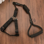 Nylon Rope Dog Leash. Shop Dog Supplies on Mounteen. Worldwide shipping available.