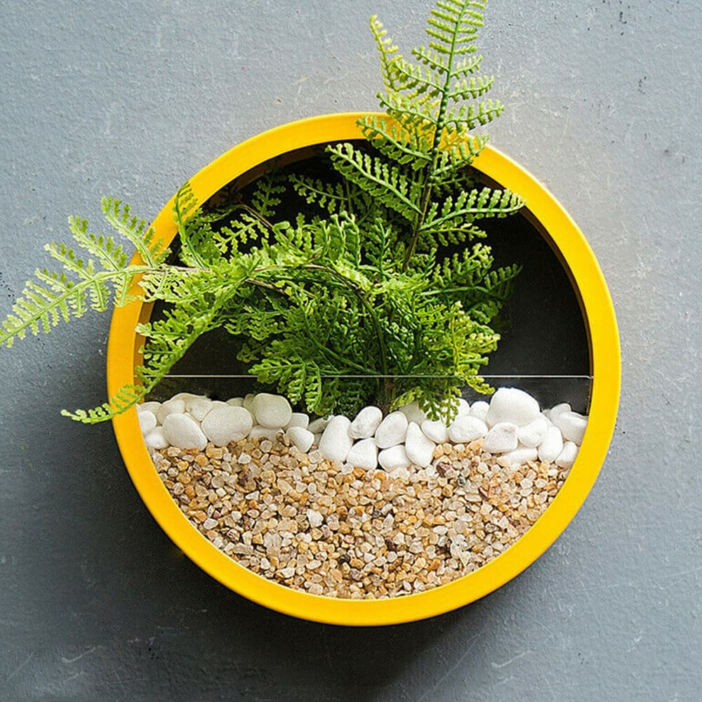 Orbicular Wall Plant Vase. Shop Vases on Mounteen. Worldwide shipping available.