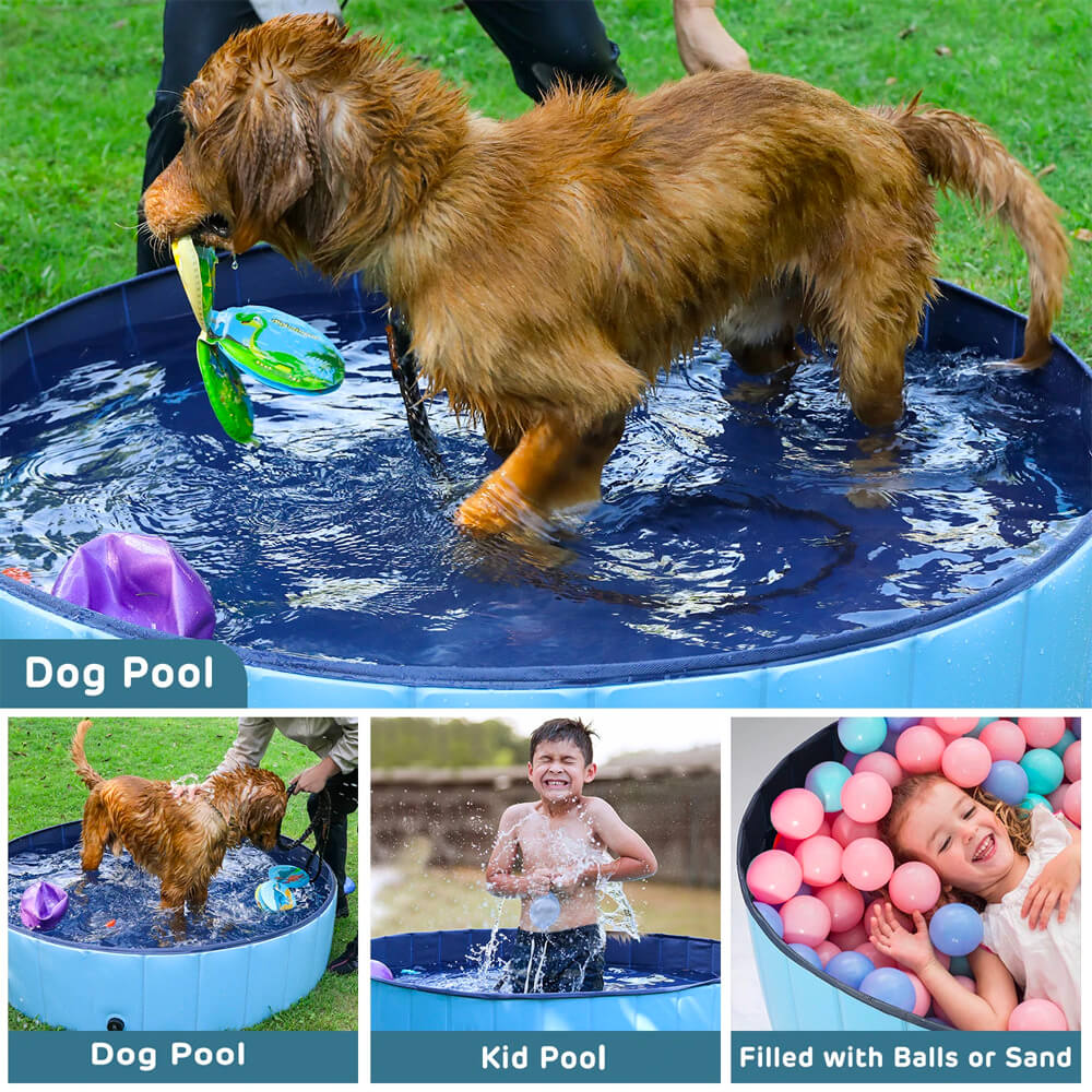 Outdoor Collapsible Portable Paw Pool For Dogs & Cats. Shop Dog Supplies on Mounteen. Worldwide shipping available.