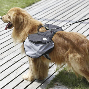 Outdoor Dog Backpack. Shop Dog Supplies on Mounteen. Worldwide shipping available.