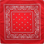 Red  paisley bandana