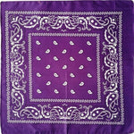 Purple paisley bandana