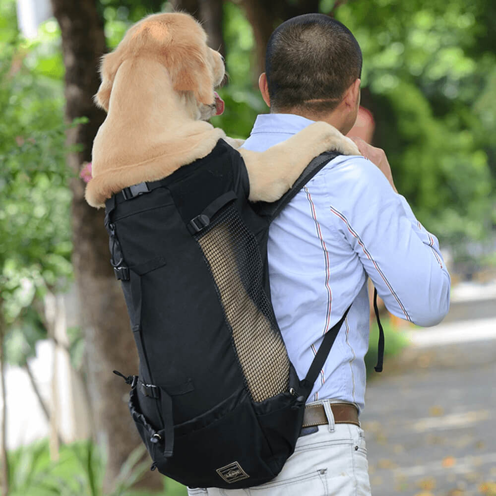 Pet Carrier Backpack. Shop Pet Carriers & Crates on Mounteen. Worldwide shipping available.