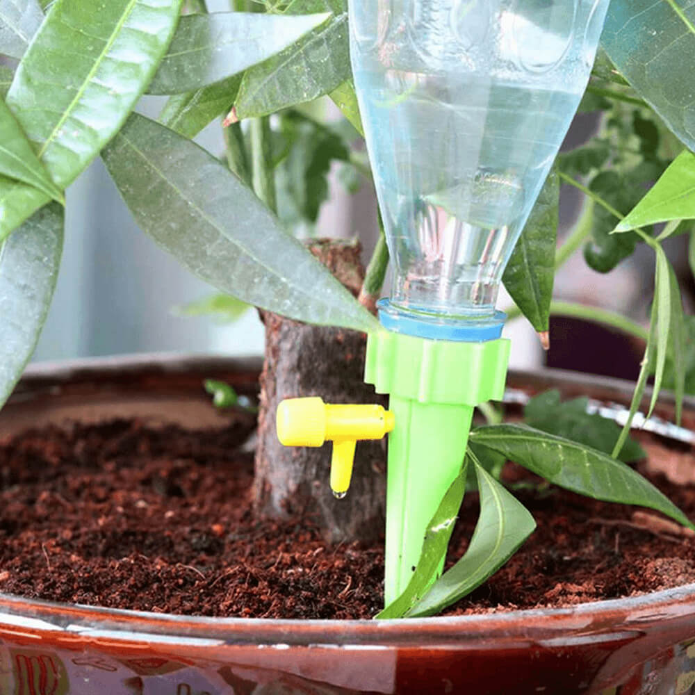 Plastic Plant Watering Spikes. Shop Watering Globes & Spikes on Mounteen. Worldwide shipping available.