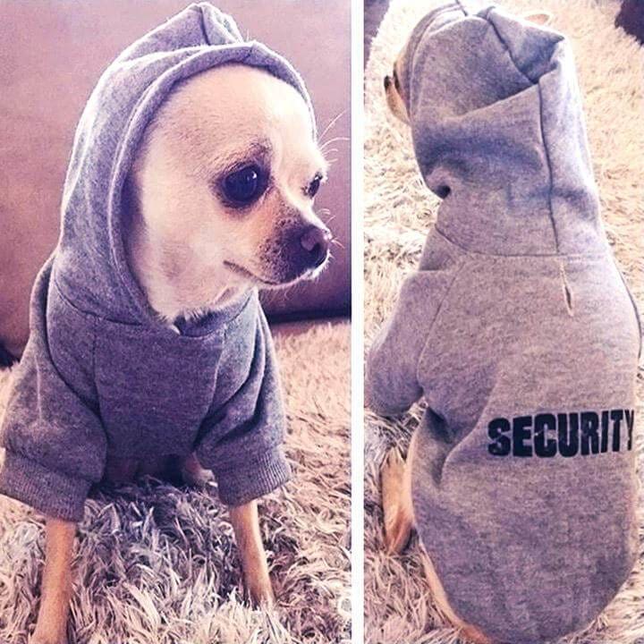 Dog Security Vest Hoodie