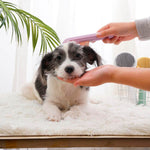 Pumpkin Brush Pet Deshedder. Shop Pet Grooming Supplies on Mounteen. Worldwide shipping available.