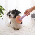 Pumpkin Pet Comb. Shop Pet Combs & Brushes on Mounteen. Worldwide shipping available.