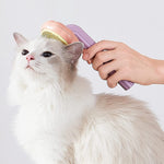 Pumpkin Pop Pet Brush. Shop Pet Combs & Brushes on Mounteen. Worldwide shipping available.