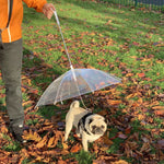 Rainproof Umbrella Dog Leash For Small Dogs. Shop Dog Supplies on Mounteen. Worldwide shipping available.
