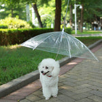 Rainproof Umbrella Dog Leash For Small Dogs. Shop Dog Supplies on Mounteen. Worldwide shipping available.
