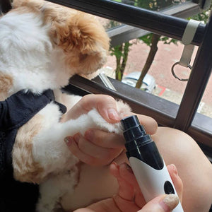 Rechargeable Professional Dog Nail Grinder. Shop Pet Grooming Supplies on Mounteen. Worldwide shipping available.