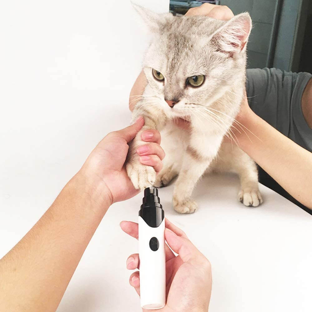 Rechargeable Professional Dog Nail Grinder. Shop Pet Grooming Supplies on Mounteen. Worldwide shipping available.