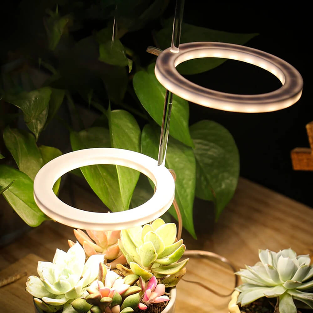 Ring LED Plant Grow Light. Shop Lamps on Mounteen. Worldwide shipping available.