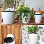 Self Watering Hanging Basket. Shop Pots & Planters on Mounteen. Worldwide shipping available.