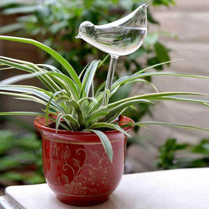 Self-Watering Plant Glass Bird Bulbs. Shop Watering Globes & Spikes on Mounteen. Worldwide shipping available.