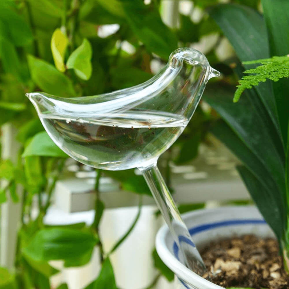 Self-Watering Plant Glass Bulbs. Shop Watering Globes & Spikes on Mounteen. Worldwide shipping available.