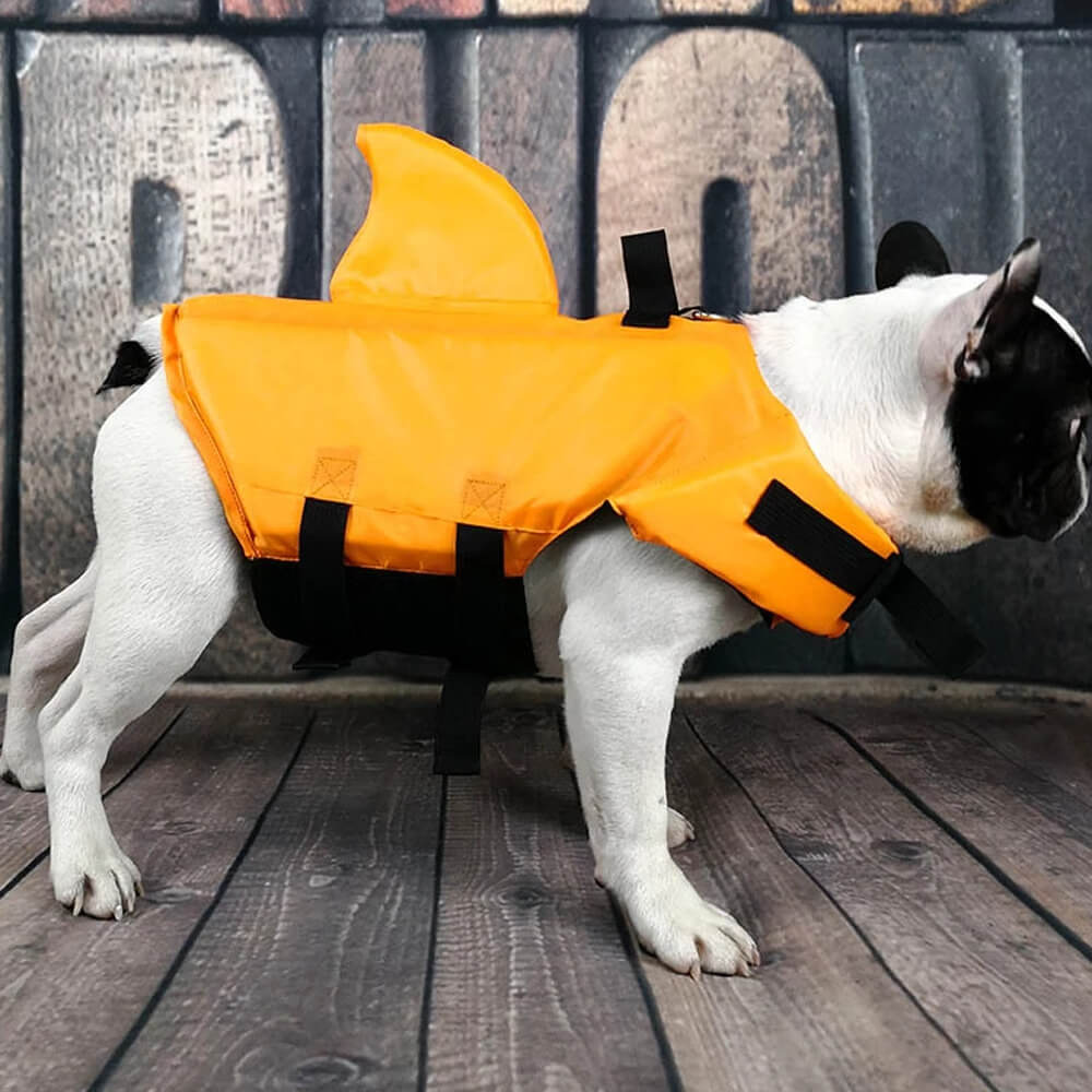 Shark Dog Safety Life Jacket. Shop Dog Supplies on Mounteen. Worldwide shipping available.