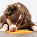 Silicone Pet Licking Pad. Shop Pet Grooming Supplies on Mounteen. Worldwide shipping available.