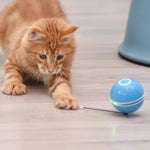 Smart Interactive Self-Rotating Cat Toy Ball. Shop Cat Supplies on Mounteen. Worldwide shipping available.