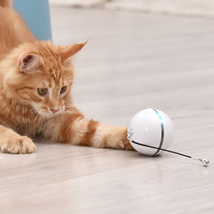 Smart Interactive Self-Rotating Cat Toy Ball. Shop Cat Supplies on Mounteen. Worldwide shipping available.