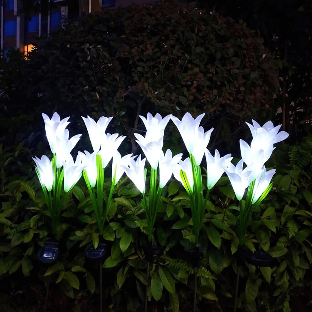 Solar Lily Flower Lights. Shop Night Lights & Ambient Lighting on Mounteen. Worldwide shipping available.