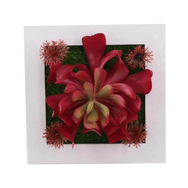Succulent Wall Hanger Frame. Shop Pots & Planters on Mounteen. Worldwide shipping available.