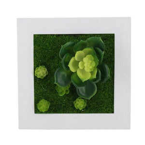 Succulent Wall Hanger Frame. Shop Pots & Planters on Mounteen. Worldwide shipping available.