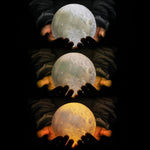 Hyper Realistic 3D Moon Lamp - Mounteen.com