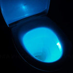 Toilet bowl light