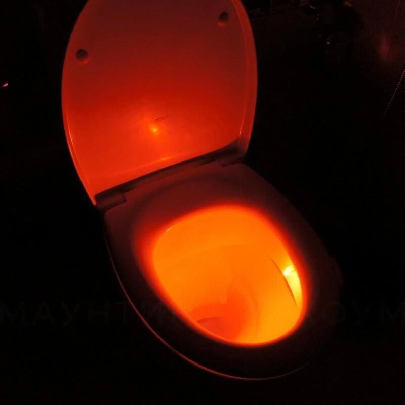 Toilet Bowl Light - Mounteen  Toilet bowl light, Bowl light, Toilet bowl