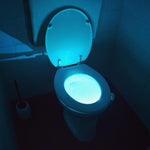 Toilet Seat Light Glow. Shop Floating & Submersible Lights on Mounteen. Worldwide shipping available.