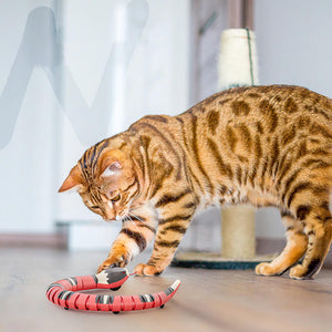USB Rechargeable Smart Sensing Snake Toy For Cats. Shop Cat Toys on Mounteen. Worldwide shipping available.