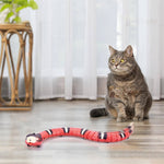 USB Rechargeable Smart Sensing Snake Toy For Cats. Shop Cat Toys on Mounteen. Worldwide shipping available.