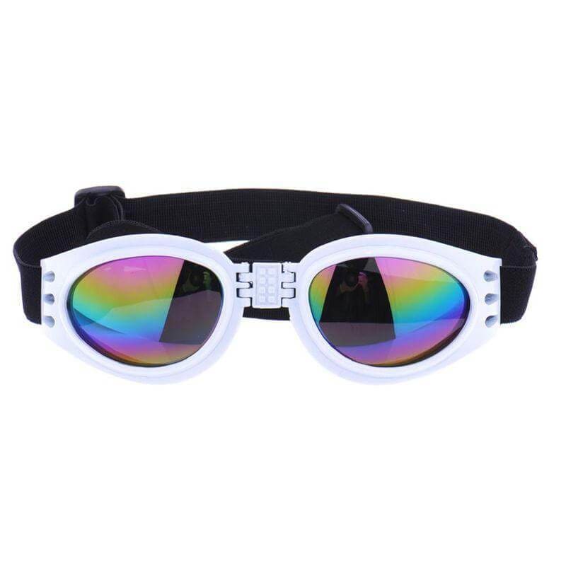 UV Protection Dog Goggles: Against Eye Infection and Sun Damage - Mounteen.com
