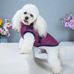 Waterproof Winter Dog Coat With Built-In Harness. Shop Outerwear on Mounteen. Worldwide shipping available.