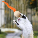Wiggly Ball Cat Bell Toy. Shop Cat Toys on Mounteen. Worldwide shipping available.