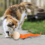 Wiggly Ball Cat Bell Toy. Shop Cat Toys on Mounteen. Worldwide shipping available.
